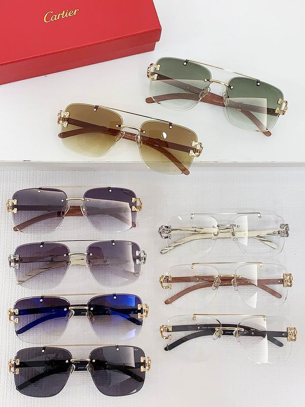 Cartier Glasses (120)